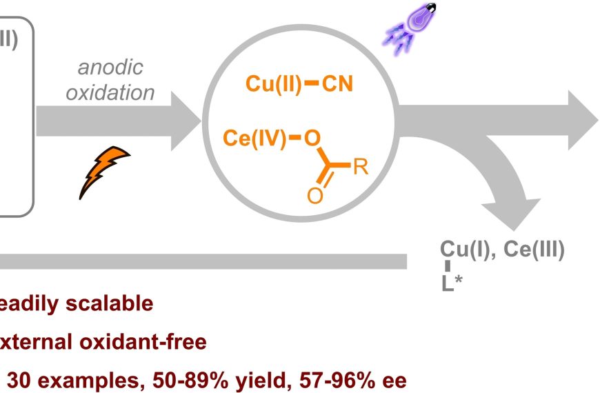 Publications in 2023