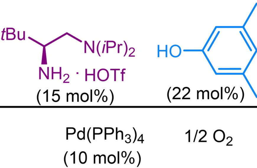 Publications in 2024